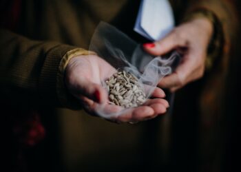 Guardar semillas dentro de la cartera: para qué sirve y qué significado tiene