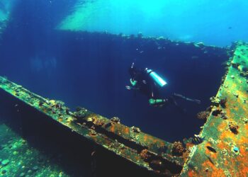 Submarino chino desciende 7.000 metros en el océano Índico y encuentra un cementerio de ballenas