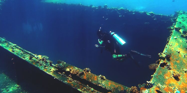 Submarino chino desciende 7.000 metros en el océano Índico y encuentra un cementerio de ballenas