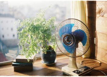 El truco casero con un simple ingrediente de cocina que hará que tu ventilador sople aire frío sin necesidad de aire acondicionado