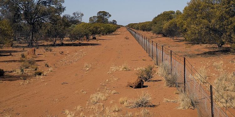 La valla más larga del mundo está en Australia y fue construida para impedir que este animal invadiera su territorio