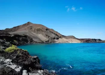 Una isla de América Latina se cansó de las ratas y recurrió a helicópteros como estrategia para combatirlas
