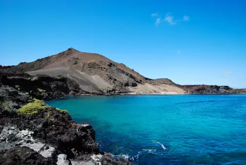 Una isla de América Latina se cansó de las ratas y recurrió a helicópteros como estrategia para combatirlas