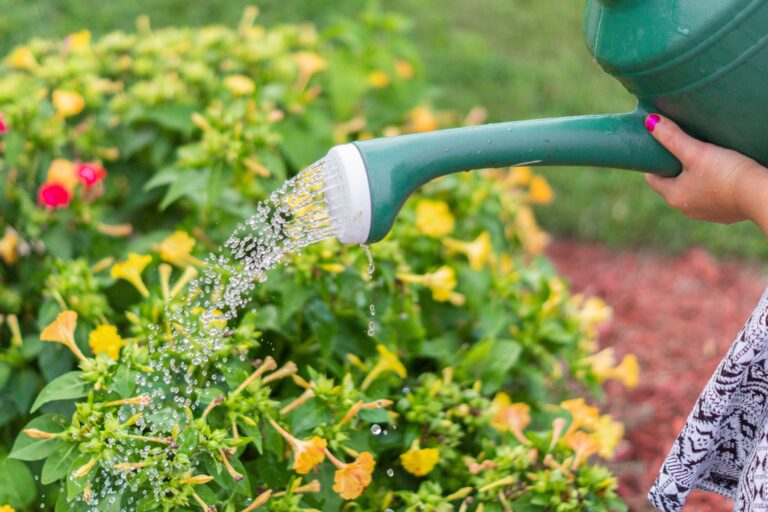 El truco para aprovechar el agua que gotea del aire acondicionado y cultivar plantas en ciudades con calor extremo