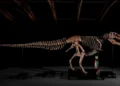 Este hombre pagó 50,1 millones de dólares y ahora tiene un dinosaurio al que puede llamar suyo