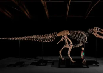 Este hombre pagó 50,1 millones de dólares y ahora tiene un dinosaurio al que puede llamar suyo