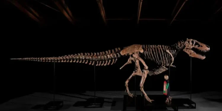 Este hombre pagó 50,1 millones de dólares y ahora tiene un dinosaurio al que puede llamar suyo