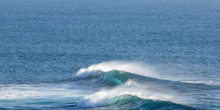 Un satélite captó olas de más de 30 metros provenientes del océano Pacífico y confirmó una enorme cantidad de energía desplazándose por el planeta