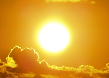 Los científicos lo confirman: las olas de calor pueden alterar la descendencia genética durante generaciones