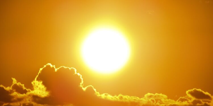 Los científicos lo confirman: las olas de calor pueden alterar la descendencia genética durante generaciones