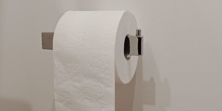 Tardé mucho tiempo en entender por qué no debería limpiar el asiento del inodoro con papel higiénico