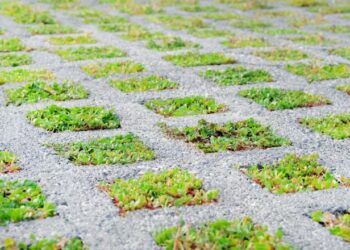 Adiós al cemento en el patio trasero: la nueva tendencia para 2026 nació en los años 70 y vuelve con fuerza por ser práctica y elegante