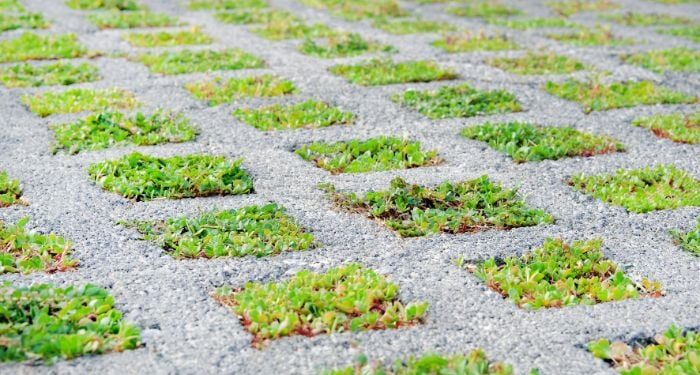 Adiós al cemento en el patio trasero: la nueva tendencia para 2026 nació en los años 70 y vuelve con fuerza por ser práctica y elegante