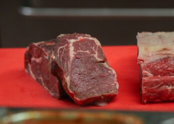 Tardé mucho tiempo en entender por qué no debía descongelar la carne sobre la encimera