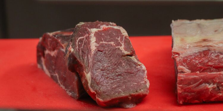 Tardé mucho tiempo en entender por qué no debía descongelar la carne sobre la encimera