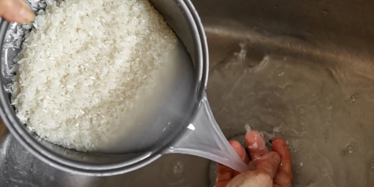Tardé mucho tiempo en entender por qué no debía tirar el agua que queda después de cocinar el arroz