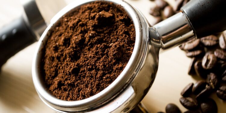 No tires los posos de café usados: tienes un tesoro en tus manos. Descubre cómo reutilizarlos en el jardín