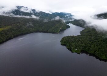 Descubrimiento del siglo: científicos encuentran vestigios de una gigantesca ciudad en la Amazonia brasileña que llegó a albergar hasta un millón de personas