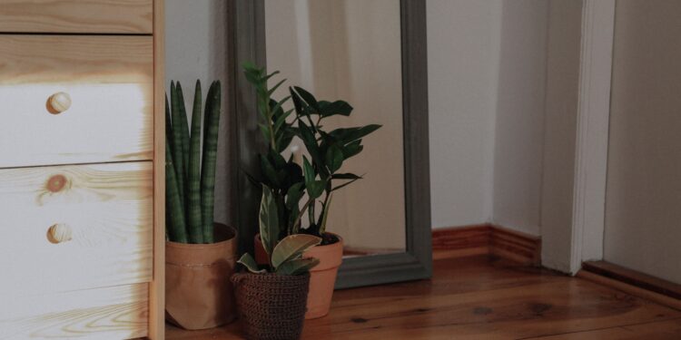 6 plantas de tonos oscuros para dar un toque sofisticado a tu hogar y crear un elegante contraste con los muebles claros