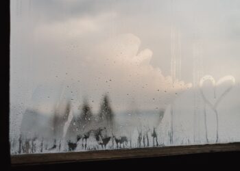 Adiós a las ventanas empañadas: el sencillo truco para evitar que los cristales acumulen agua