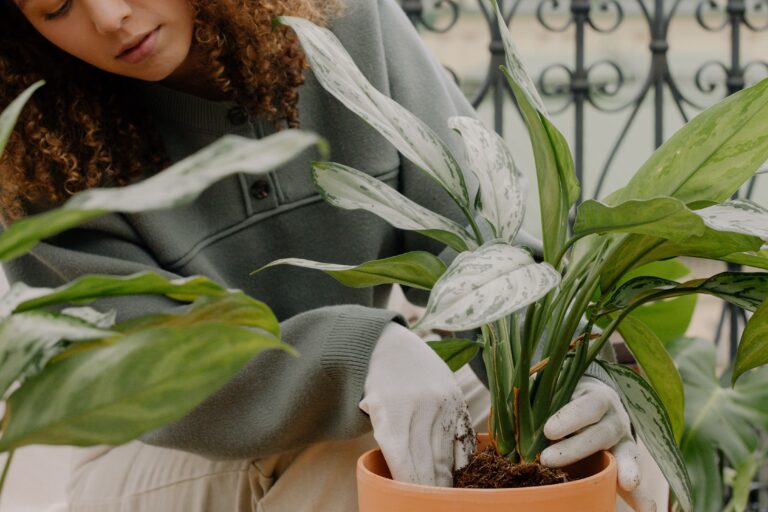 Echar sal gruesa sobre la tierra de una planta: para qué sirve y por qué se recomienda hacerlo