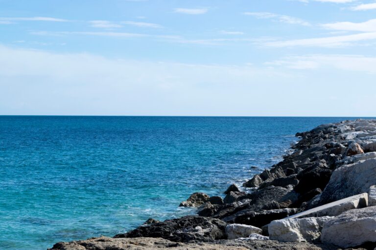 Un nuevo estudio revela que los cambios en el nivel del mar ayudaron a mantener estable el clima de la Tierra durante millones de años