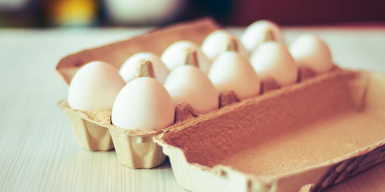 Si tienes cartones de huevos viejos, tienes un tesoro: 3 ideas para reutilizarlos y organizar tu hogar