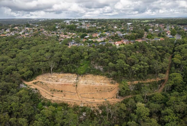 Taló 600 árboles para construir una mansión y ahora fue obligado a plantar casi 39.000 ejemplares