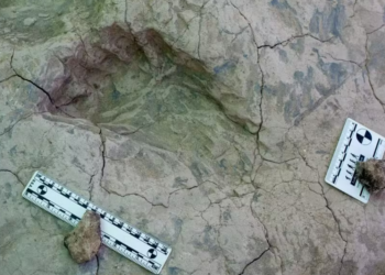 Huella humana hallada en Kenia, con 1,4 millones de años de antigüedad, contradice la historia de la evolución tal como la conocemos