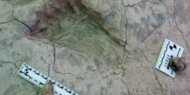 Huella humana hallada en Kenia, con 1,4 millones de años de antigüedad, contradice la historia de la evolución tal como la conocemos