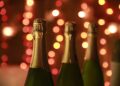 El descubrimiento del siglo: encuentran botellas de champán de Alejandro II después de más de 160 años en el fondo del mar