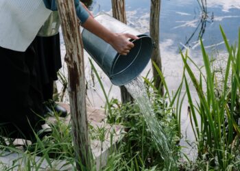 Tardé mucho tiempo en entender por qué no debería tirar el agua que gotea del aire acondicionado