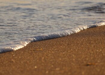 Turistas intentaron llevarse arena de la playa como recuerdo del viaje y fueron multados con más de 17.000 dólares por ello