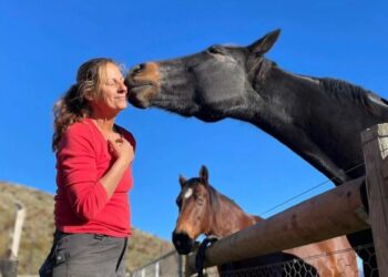 Nueva Zelanda ofrece alojamiento gratuito a cambio de solo 4 horas de trabajo por la mañana cuidando animales