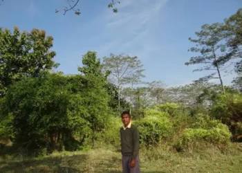 En 1979, este hombre comenzó a plantar árboles en la India; 47 años después, había creado un bosque