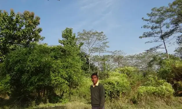 En 1979, este hombre comenzó a plantar árboles en la India; 47 años después, había creado un bosque