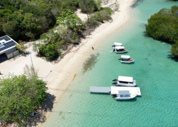 Una isla paradisíaca en Australia busca voluntarios para mudarse en 2027 con alojamiento gratuito