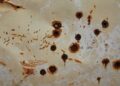 Adiós a las manchas de óxido en los suelos: este sencillo truco con ingredientes de cocina las elimina en solo 15 minutos