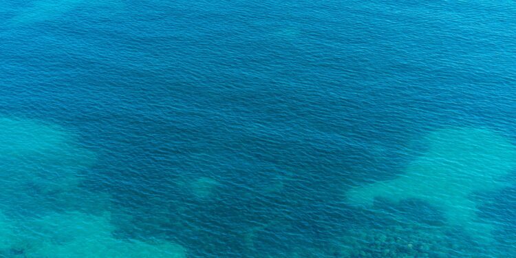 Tras recolectar más de 1.000 muestras a profundidades de hasta 4.510 metros, investigadores hacen un descubrimiento de un animal gigante en el fondo del mar