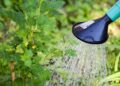 No tires el agua que gotea del aire acondicionado, tienes un tesoro en casa y puede reutilizarse en el jardín