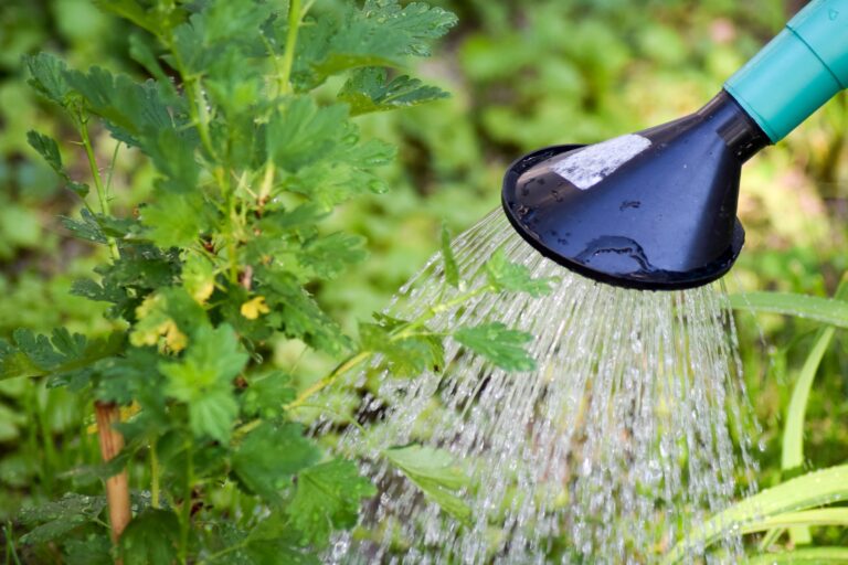 No tires el agua que gotea del aire acondicionado, tienes un tesoro en casa y puede reutilizarse en el jardín
