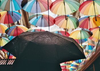 Si tienes paraguas rotos en casa, tienes un tesoro: 3 ideas para reutilizarlos en la decoración