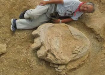 ¿Qué tamaño tenía la pata de un dinosaurio? Descubre la huella más grande jamás encontrada en el mundo