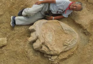 ¿Qué tamaño tenía la pata de un dinosaurio? Descubre la huella más grande jamás encontrada en el mundo