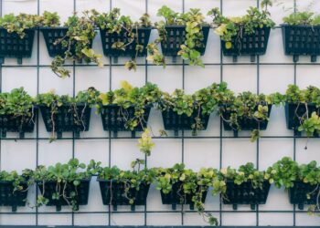 Adiós las jardineras tradicionales las