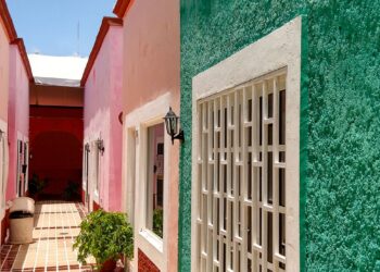 Adiós las paredes blancas los