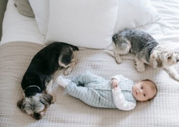 Un nuevo estudio revela que tener perros en casa ayuda a fortalecer el sistema inmunológico de los niños