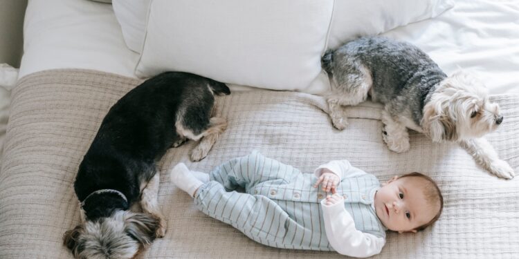 Un nuevo estudio revela que tener perros en casa ayuda a fortalecer el sistema inmunológico de los niños