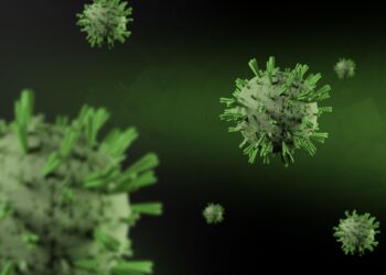 Virus letal es descubierto en Sudamérica y la tasa de mortalidad alcanza el 83%