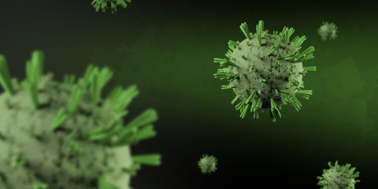 Virus letal es descubierto en Sudamérica y la tasa de mortalidad alcanza el 83%